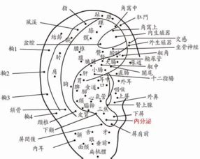 左耳痣|面相：耳朵有痣算命圖解，全位置對照，看看你是哪一。